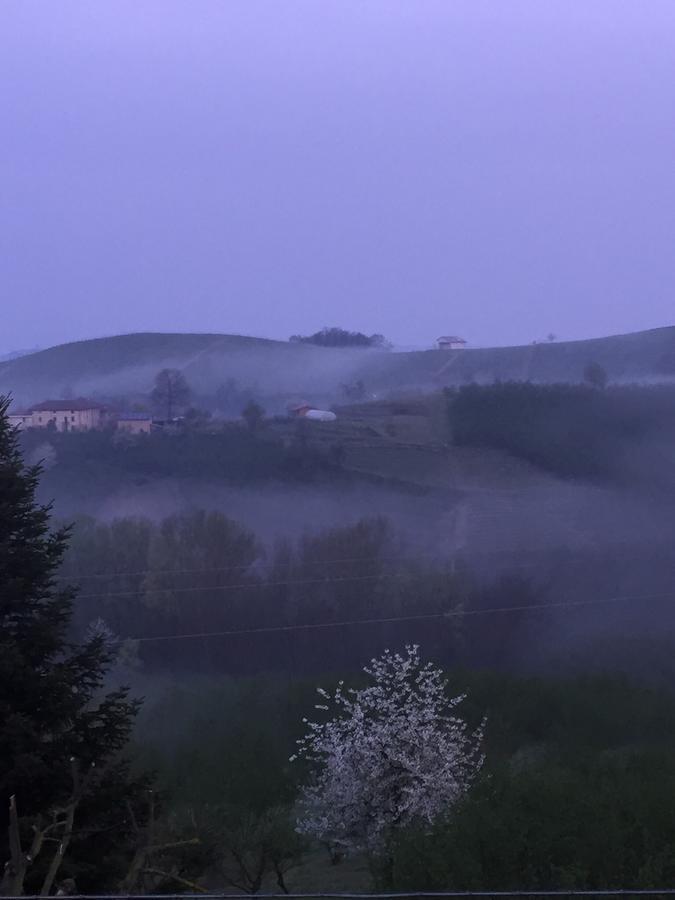 Cascina Baresane Bed and Breakfast Alba  Buitenkant foto