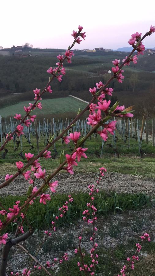 Cascina Baresane Bed and Breakfast Alba  Buitenkant foto